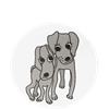 Coaster Dogs Grey